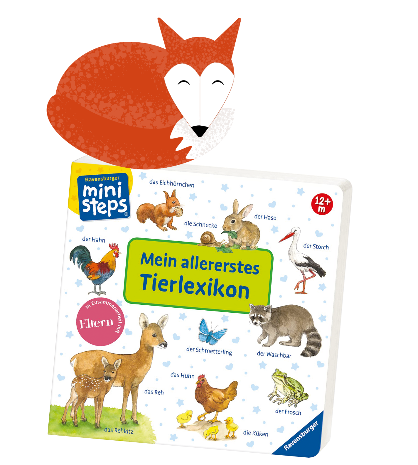 Fuchs: Olga Nikitenko | iStockphoto.com