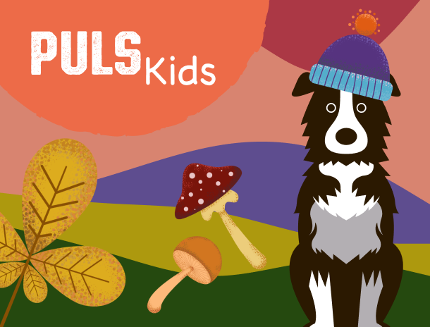 Grafiken: MuchMania, Olga Nikitenko, ArdeaA | iStockphoto.com