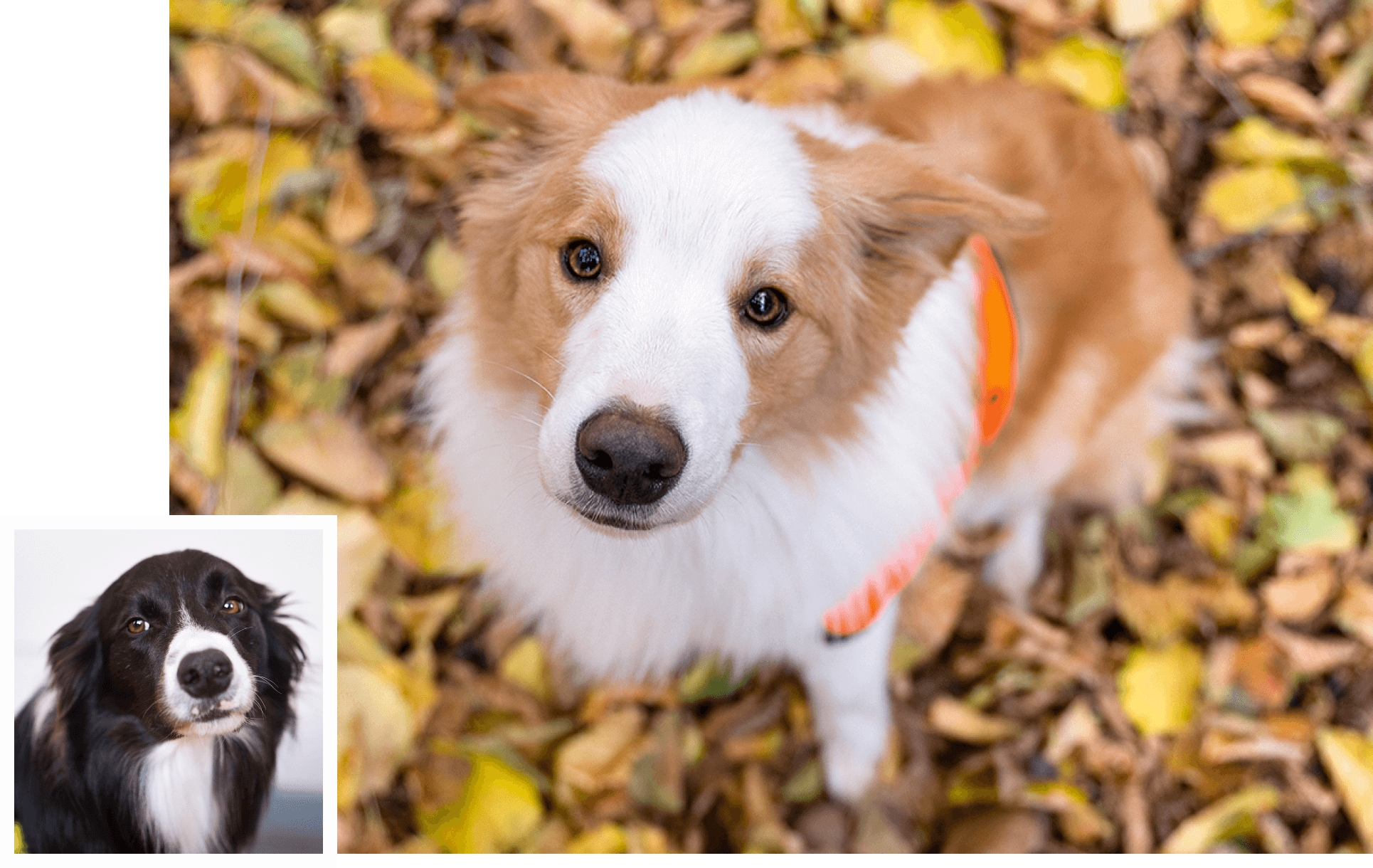 Fotos: Anna Tomelleri, Jörg Scheibe