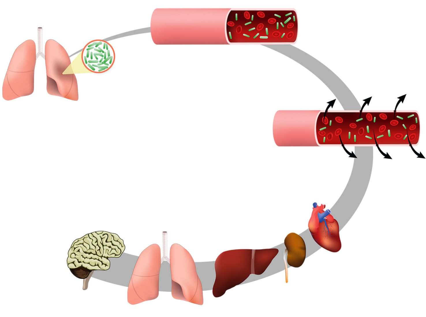 Grafik: ttsz | iStockphoto.com Grafik: ttsz | iStockphoto.com