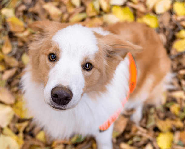 Foto: Anna Tomelleri