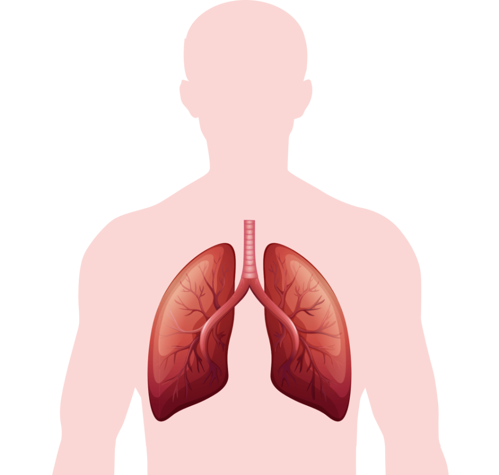 Grafik: blueringmedia | iStockphoto.com