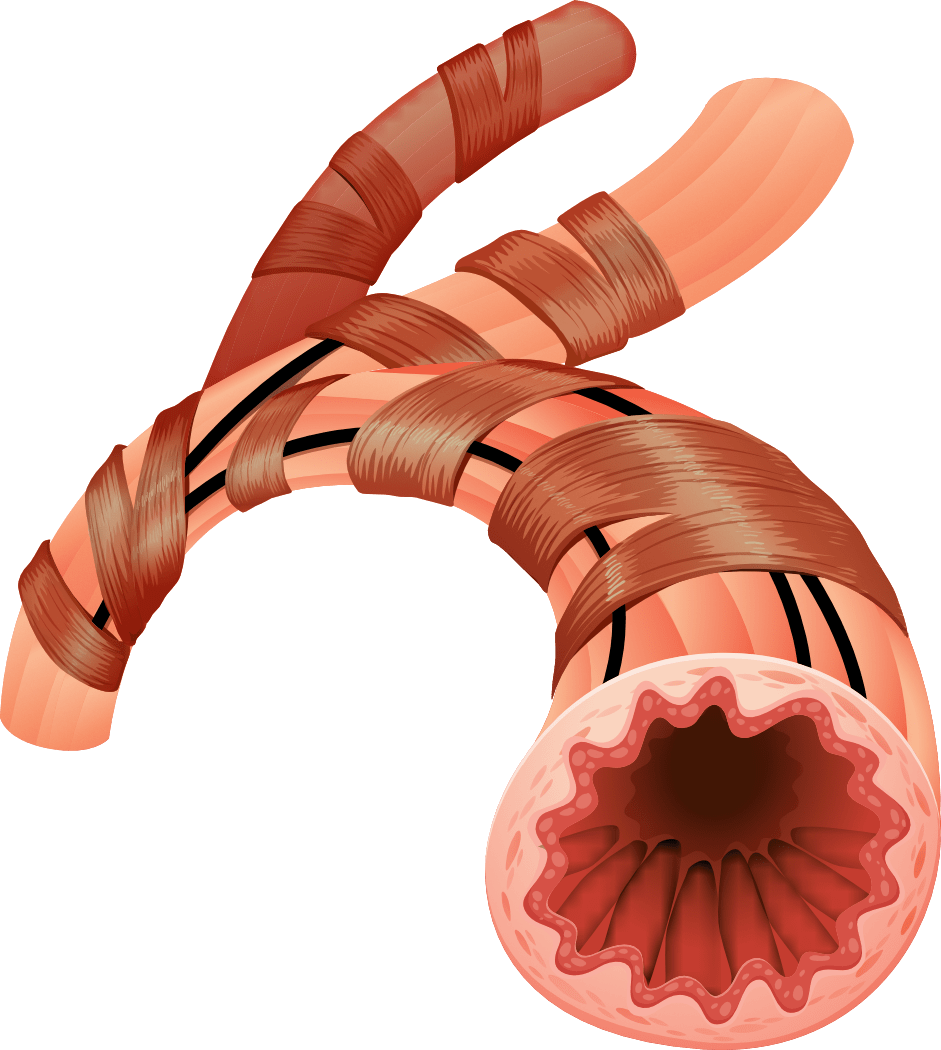 Grafik: blueringmedia | iStockphoto.com