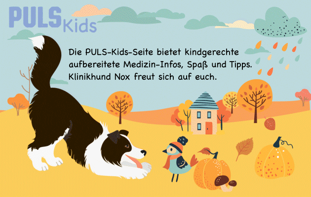 Grafiken: tanda_V, Color_life, Dmytro Bosnak | iStockphoto.com