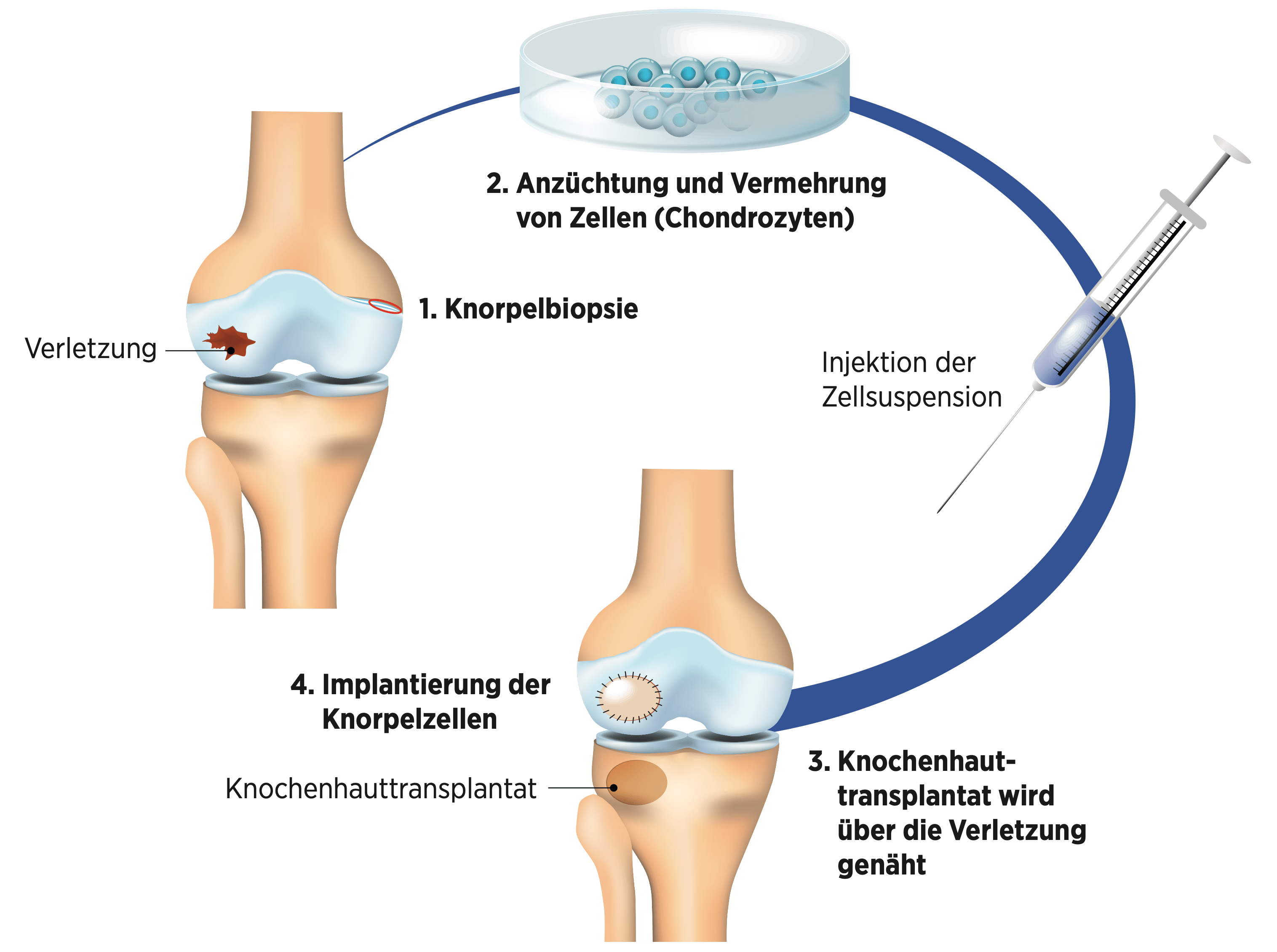 Grafik: Designua | Shutterstock.com