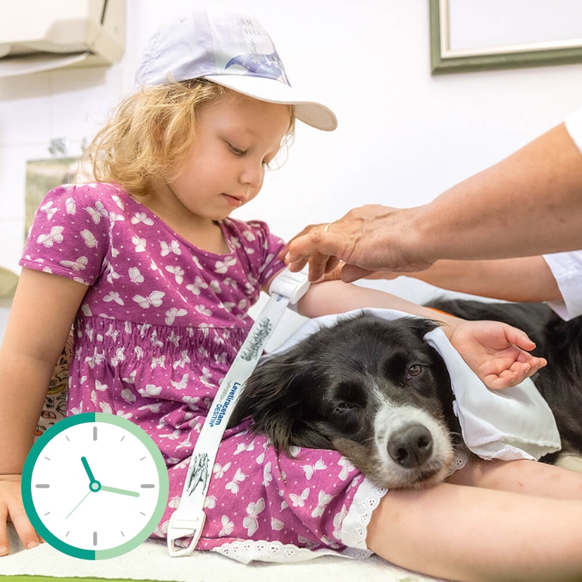 Foto: Nick Neufeld, Uhren-Grafik: panimoni | iStockphoto.com