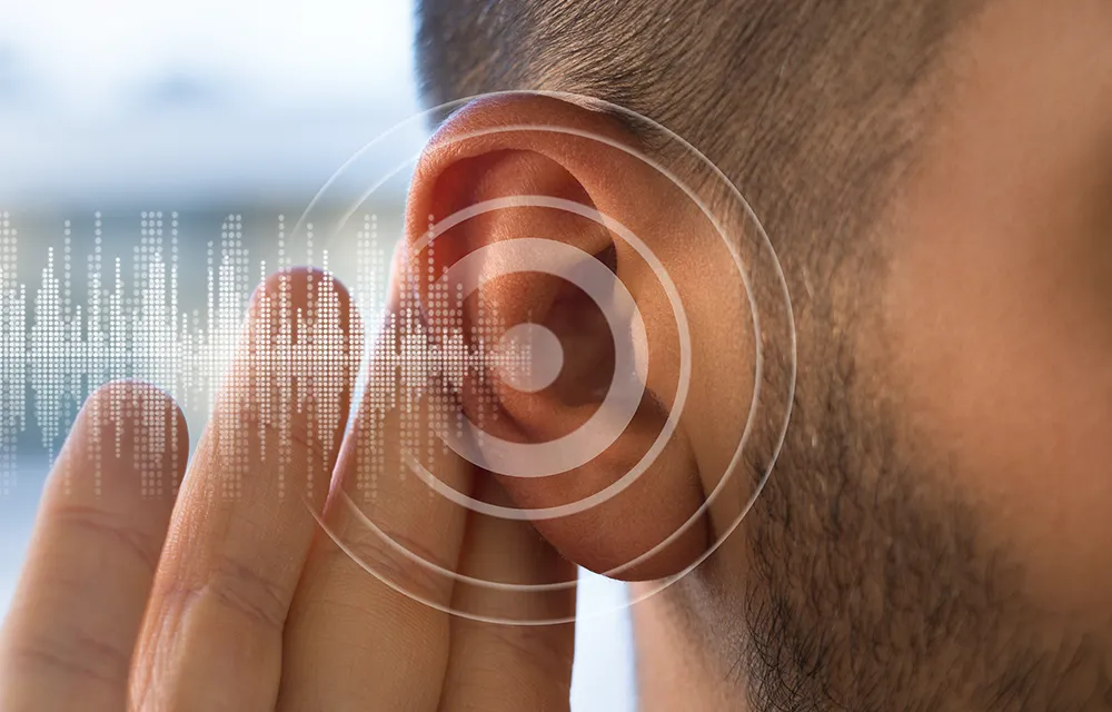 Foto: Daria Kulkova | iStockphoto.com