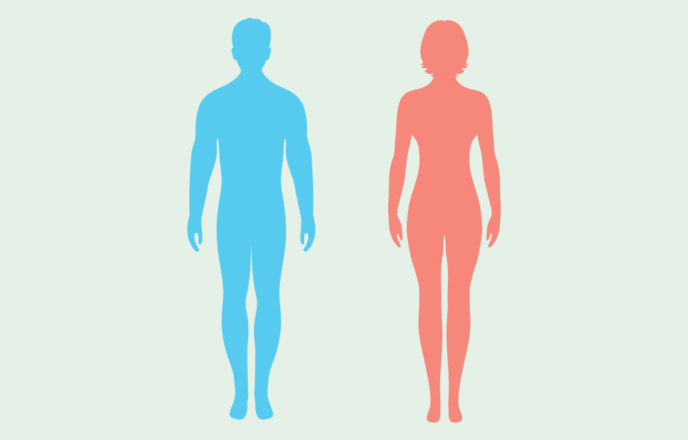 Grafik: Elena Soloveva | iStockphoto.com Grafik: Elena Soloveva | iStockphoto.com